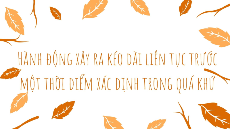 Diễn tả một hành động xảy ra kéo dài liên tục trước một thời điểm xác định trong quá khứ